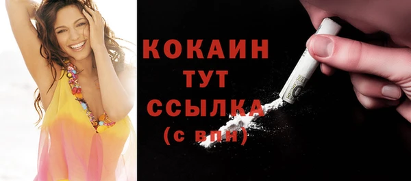 стаф Аркадак
